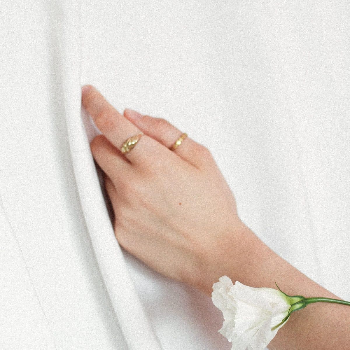 Mano con anillos delicados junto a una flor blanca